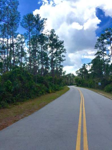 stunning-road-scene-on-the-way-to-everglades-laura-march-2016