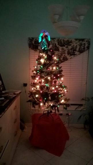 our-christmas-tree-2016